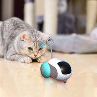 Cat Smart Toy Car