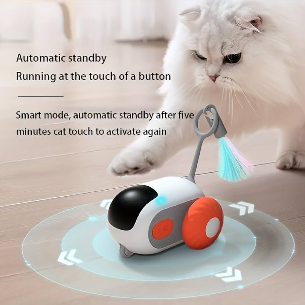 Cat Smart Toy Car